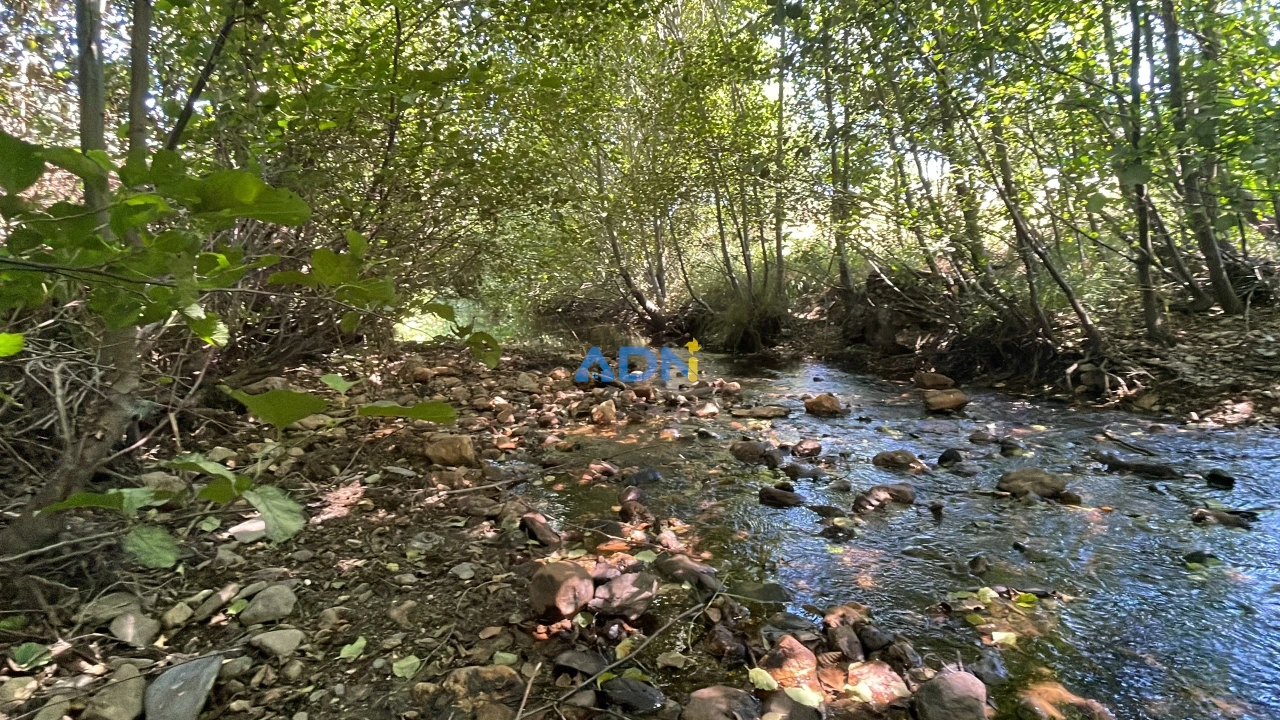 Terreno para Venda em Sarzedas Foto 10