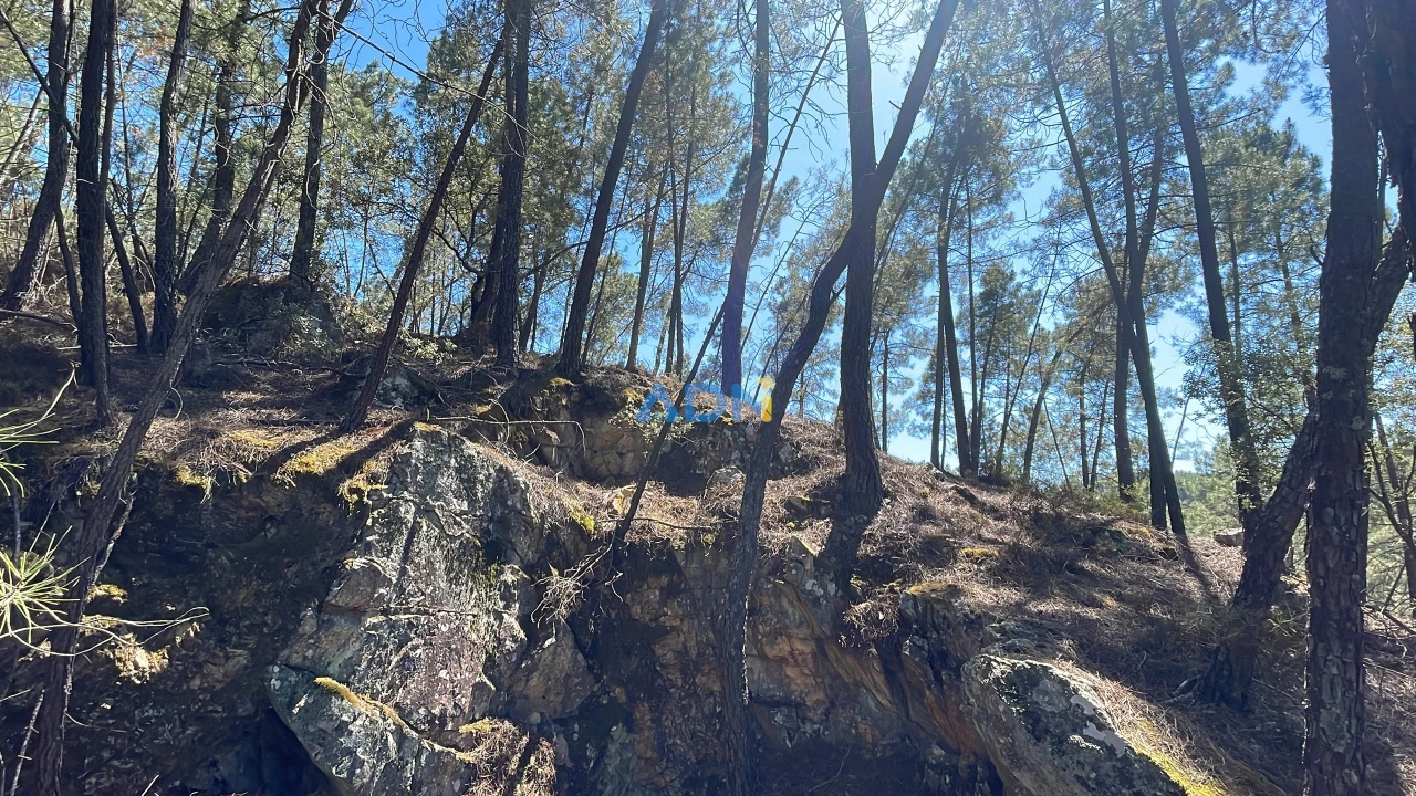 Terreno para Venda em Sarzedas Foto 27