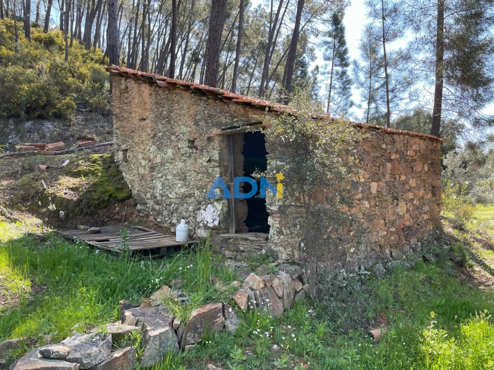 Terreno para Venda em Sarzedas Foto 81