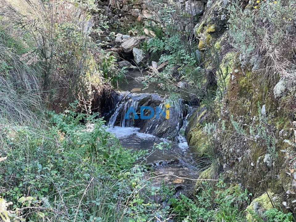 Terreno para Venda em Sarzedas Foto 79
