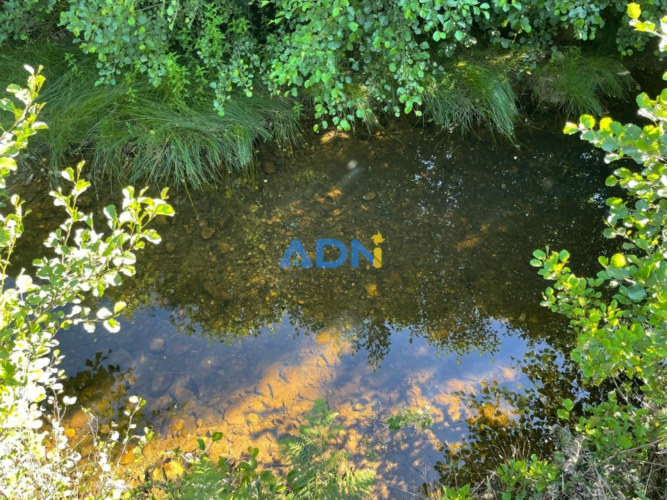 Terreno para Venda em Sarzedas Foto 11