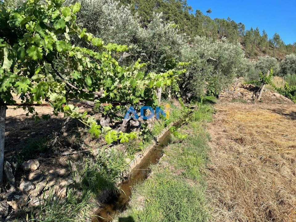 Terreno para Venda em Sarzedas Foto 50