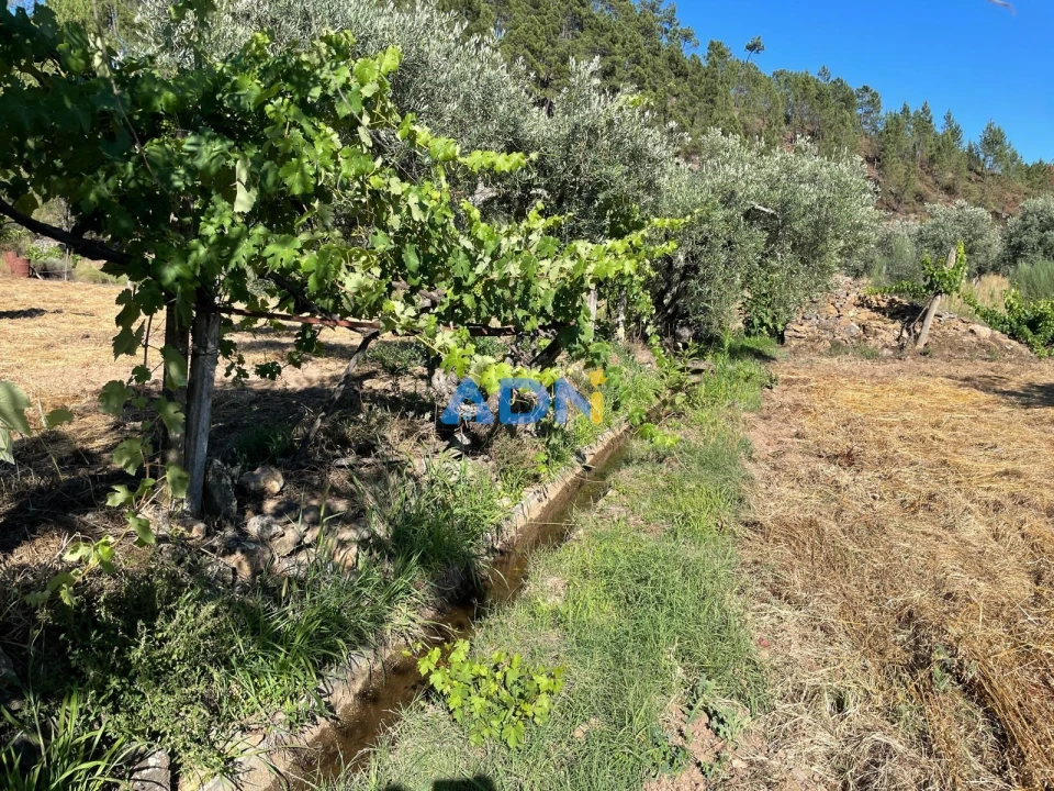 Terreno para Venda em Sarzedas Foto 45