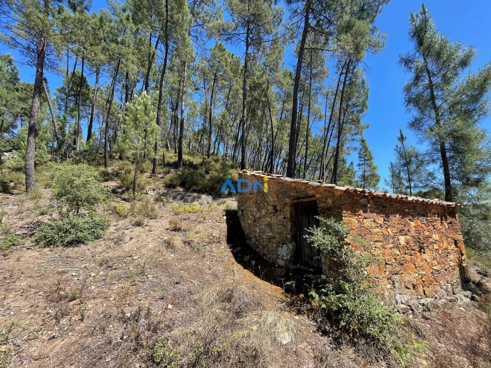 Terreno para Venda em Sarzedas Foto 23