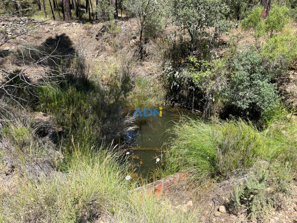 Terreno para Venda em Sarzedas Foto 33