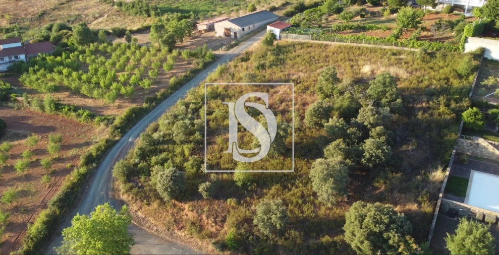 Terreno para Venda em Sé, Santa Maria e Meixedo Foto 5