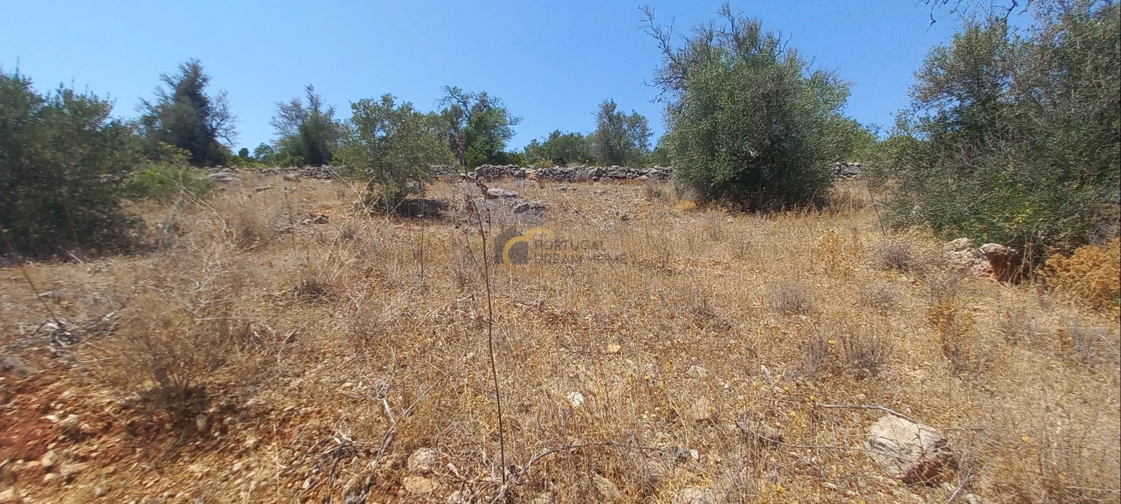 Terreno Agricola ou Rústico para Venda em São Bartolomeu de Messines Foto 11