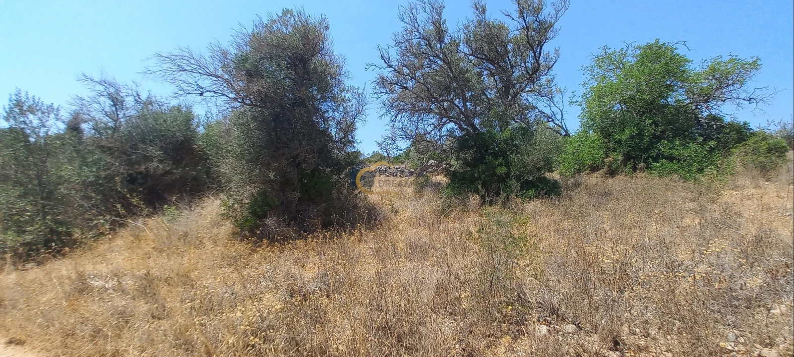 Terreno Agricola ou Rústico para Venda em São Bartolomeu de Messines Foto 16