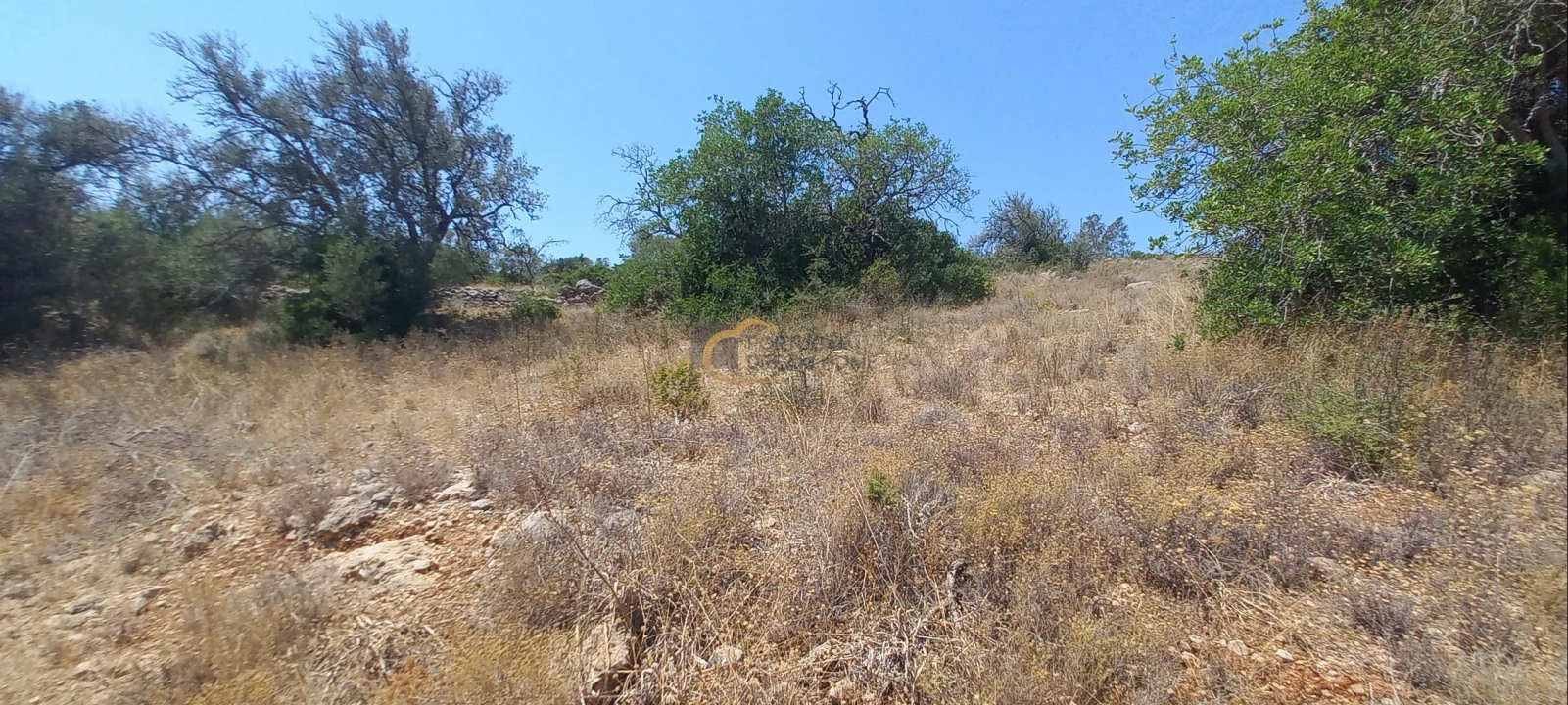 Terreno Agricola ou Rústico para Venda em São Bartolomeu de Messines Foto 15