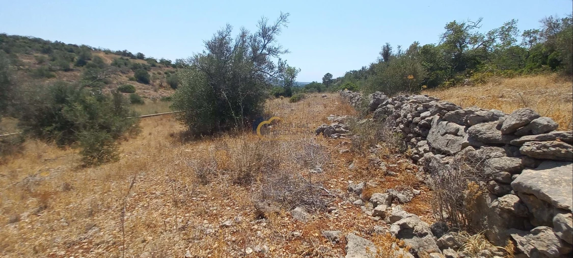 Terreno Agricola ou Rústico para Venda em São Bartolomeu de Messines Foto 1