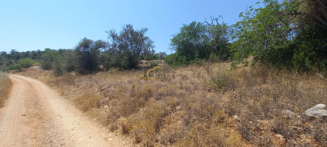 Terreno Agricola ou Rústico para Venda em São Bartolomeu de Messines Foto 18
