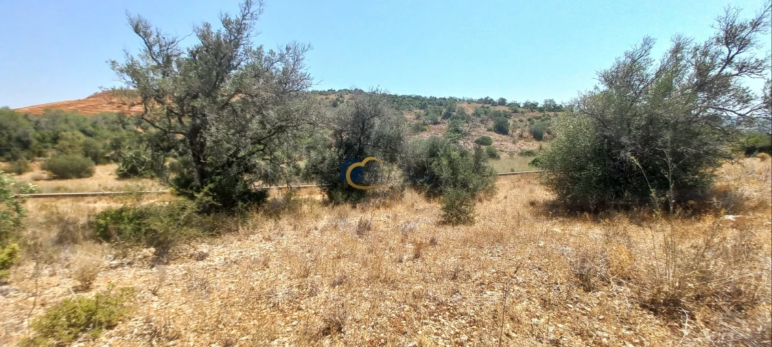 Terreno Agricola ou Rústico para Venda em São Bartolomeu de Messines Foto 4