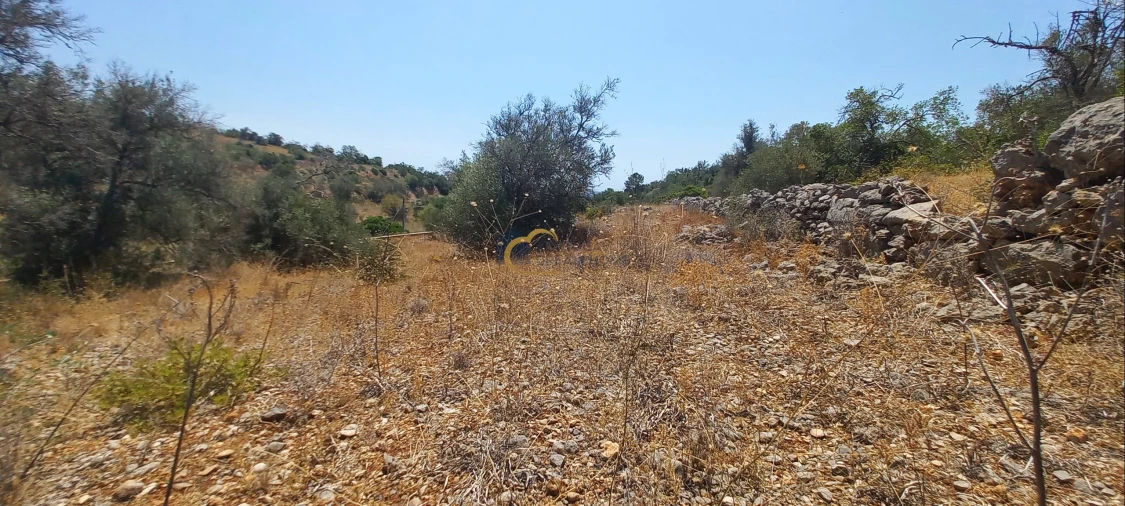 Terreno Agricola ou Rústico para Venda em São Bartolomeu de Messines Foto 7