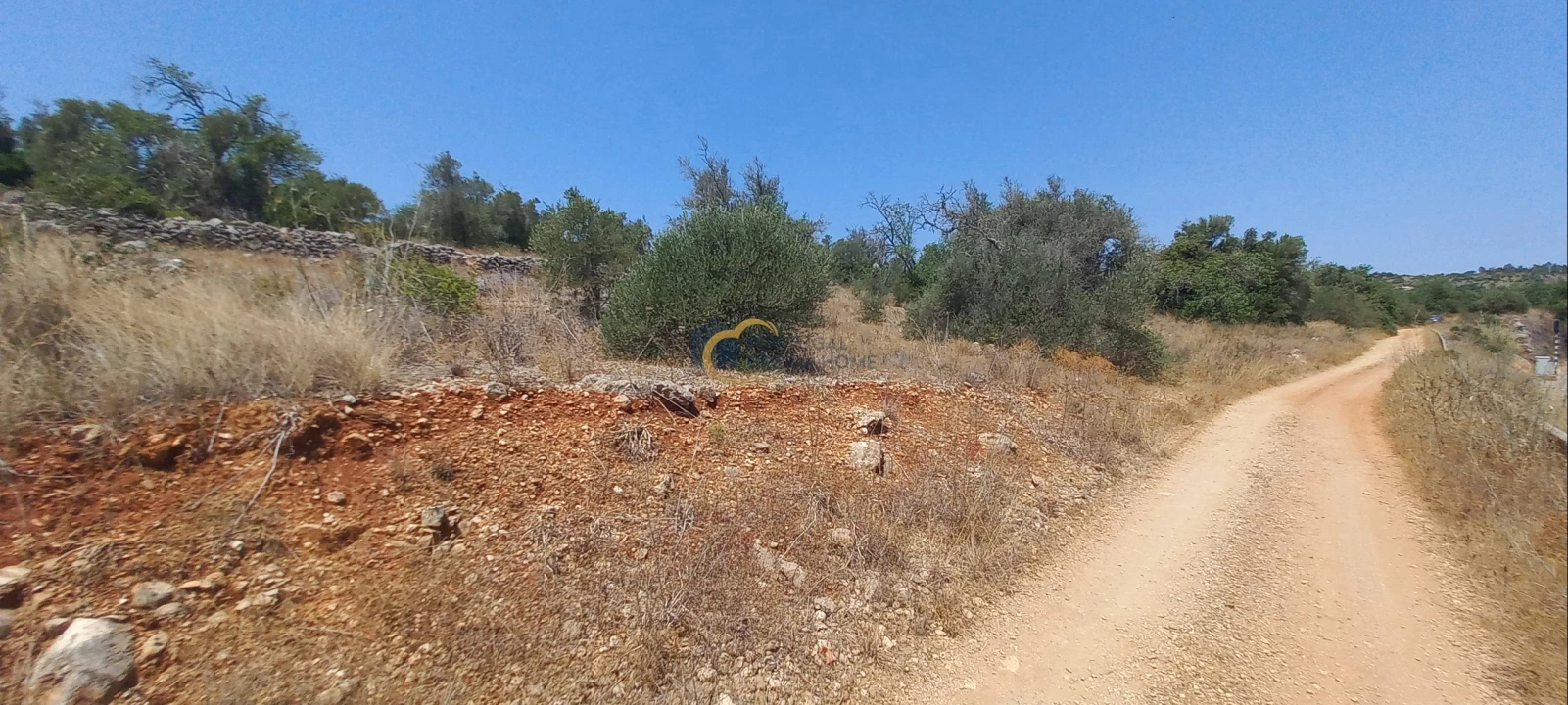 Terreno Agricola ou Rústico para Venda em São Bartolomeu de Messines Foto 17