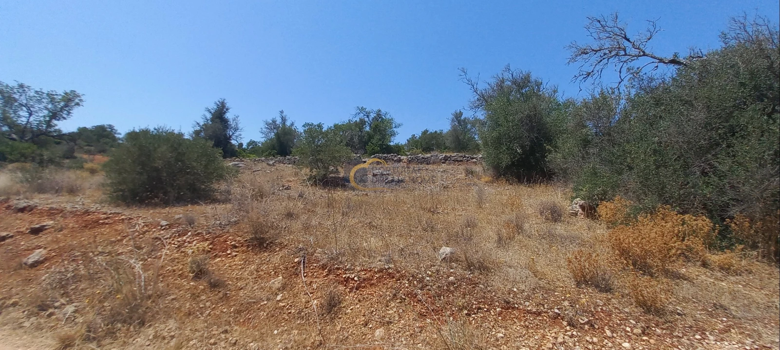 Terreno Agricola ou Rústico para Venda em São Bartolomeu de Messines Foto 13
