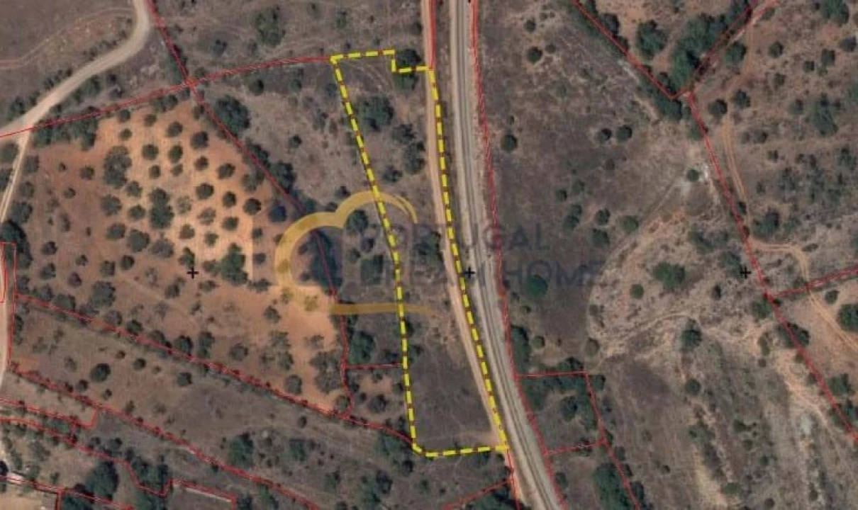 Terreno Agricola ou Rústico para Venda em São Bartolomeu de Messines Foto 19