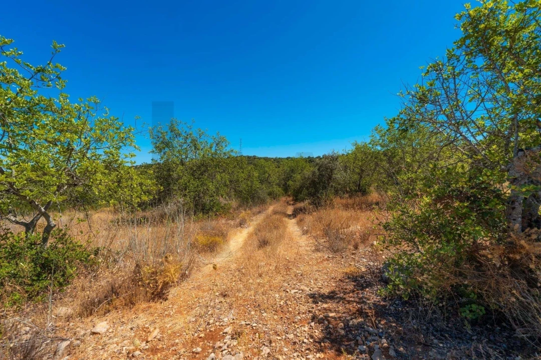 Terreno para Venda em Santa Barbara de Nexe Foto 6
