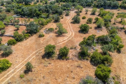 Terreno para Venda em Santa Barbara de Nexe