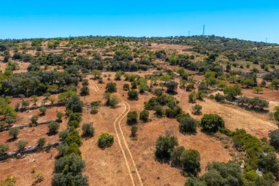 Terreno para Venda em Santa Barbara de Nexe