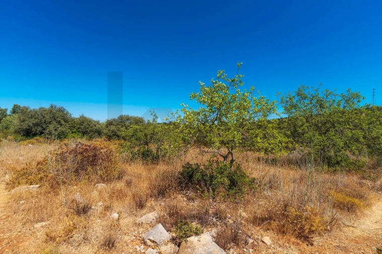 Terreno para Venda em Santa Barbara de Nexe Foto 7