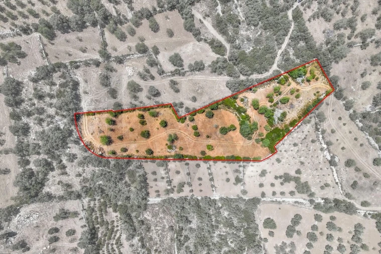 Terreno para Venda em Santa Barbara de Nexe Foto 4