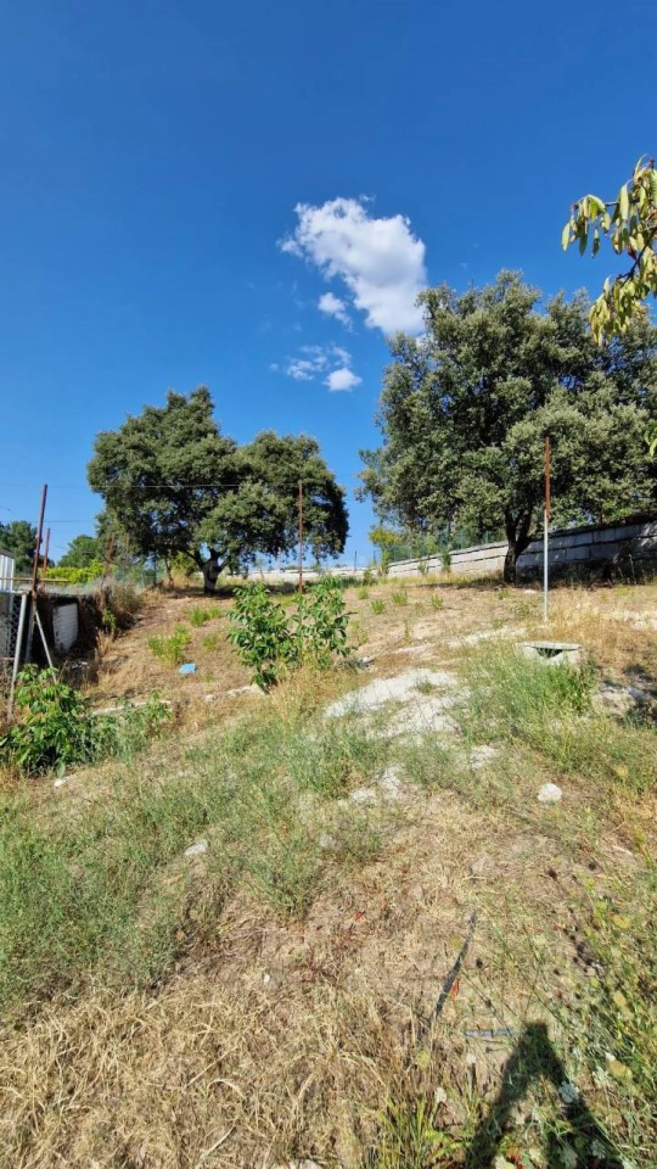 Terreno Agricola ou Rústico para Venda em Lajeosa do Mondego Foto 3