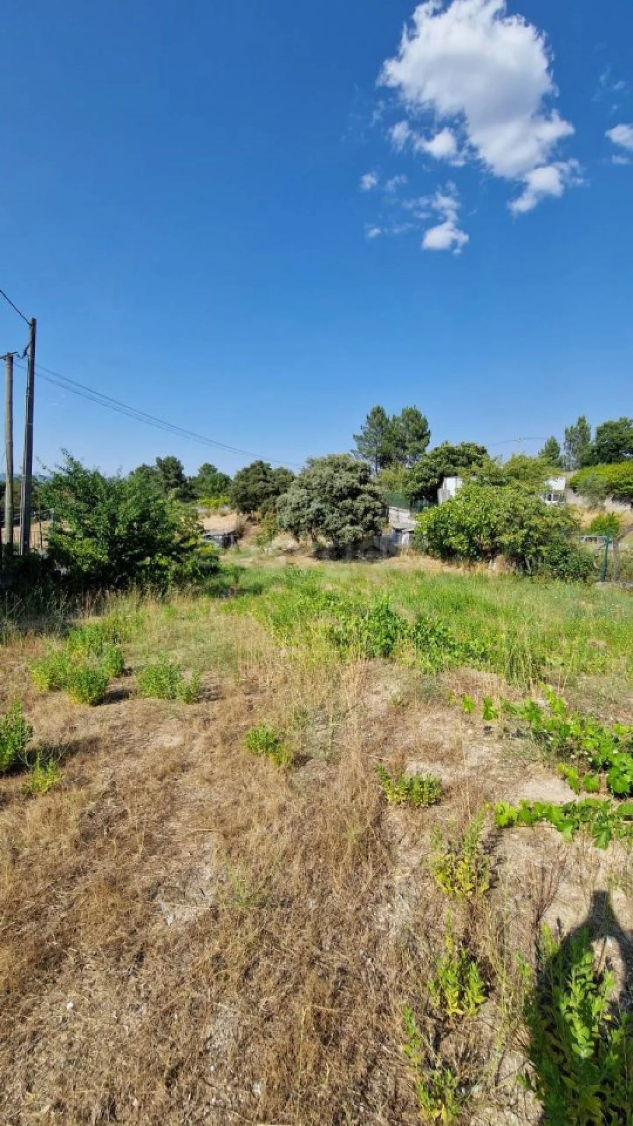 Terreno Agricola ou Rústico para Venda em Lajeosa do Mondego Foto 4