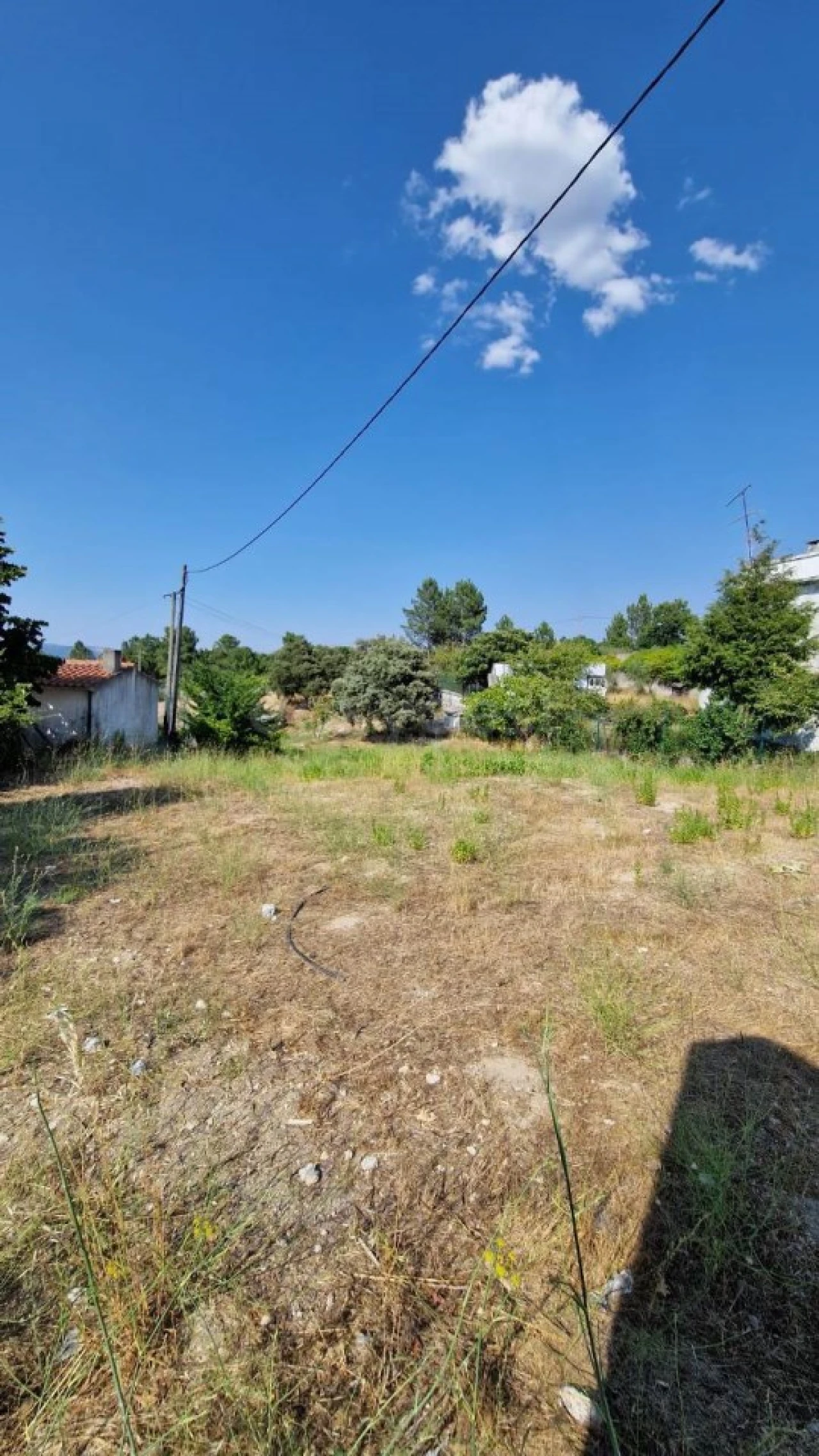 Terreno Agricola ou Rústico para Venda em Lajeosa do Mondego Foto 5