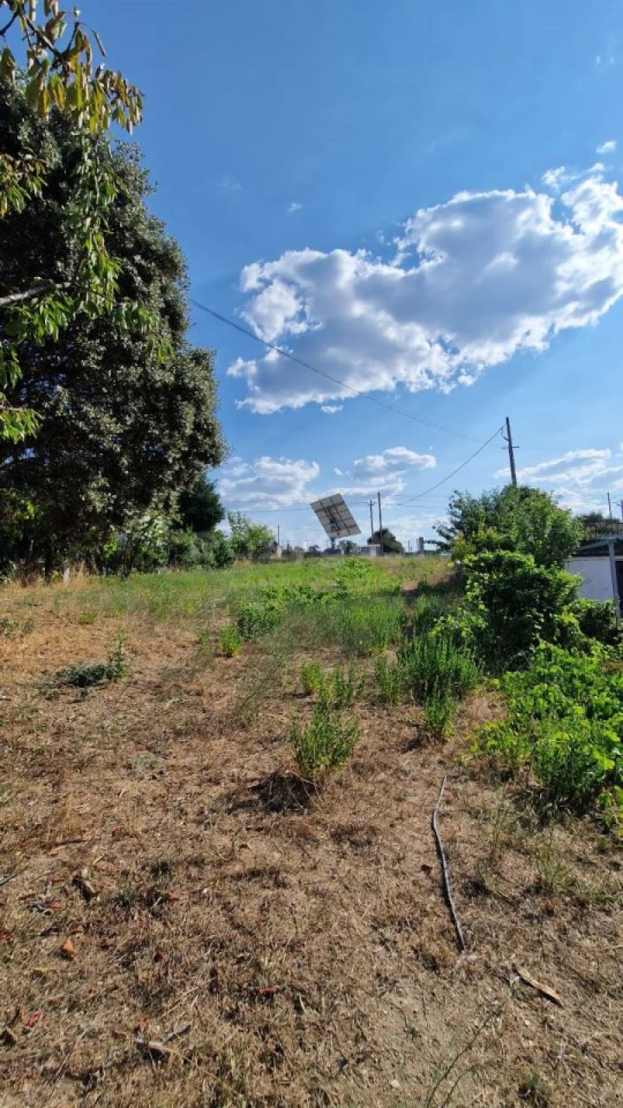 Terreno Agricola ou Rústico para Venda em Lajeosa do Mondego Foto 2