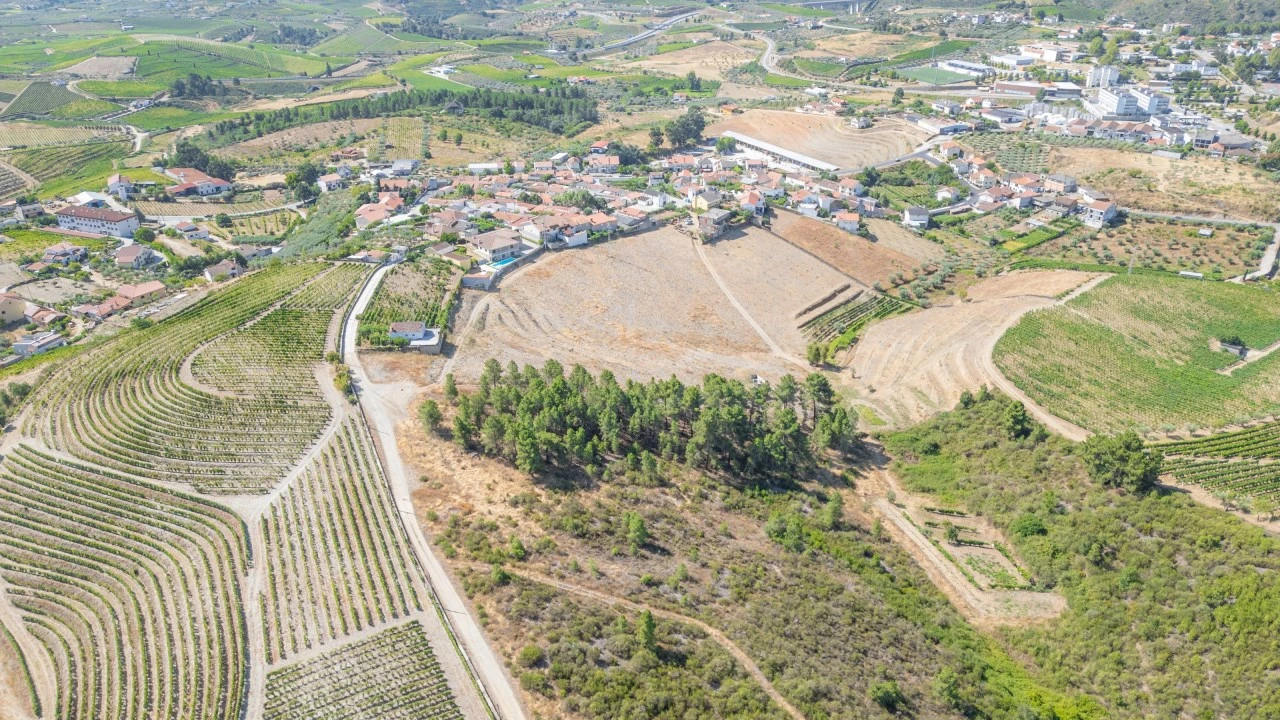 Terreno para Venda em Murça Foto 3