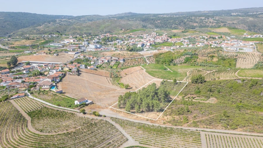 Terreno para Venda em Murça Foto 1