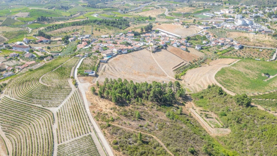 Terreno para Venda em Murça Foto 3