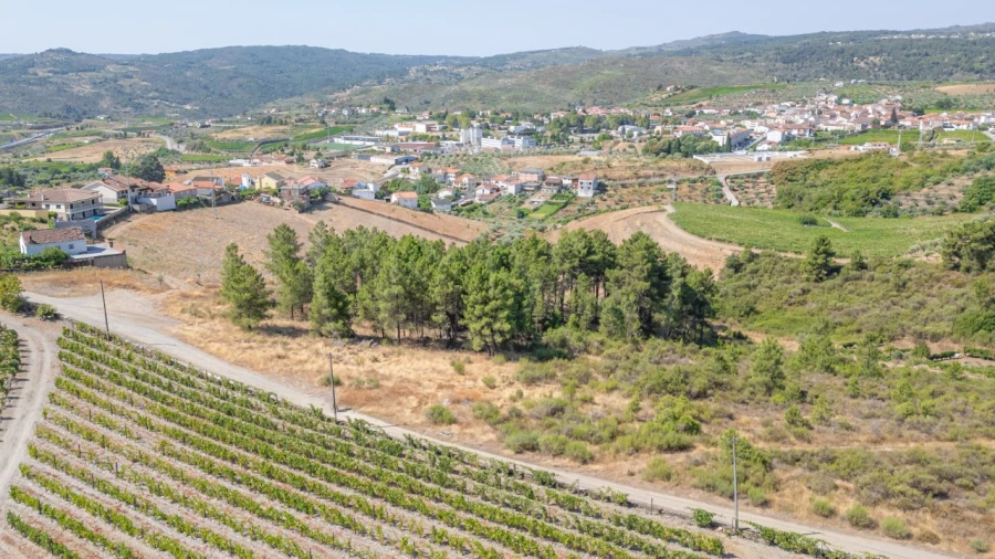 Terreno para Venda em Murça Foto 4