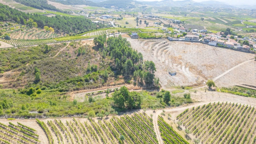 Terreno para Venda em Murça Foto 5