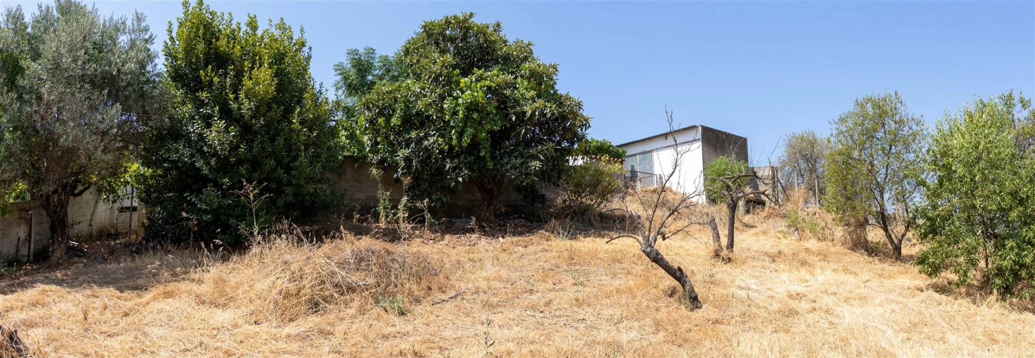 Moradia T3 para Venda em Brinches Foto 49