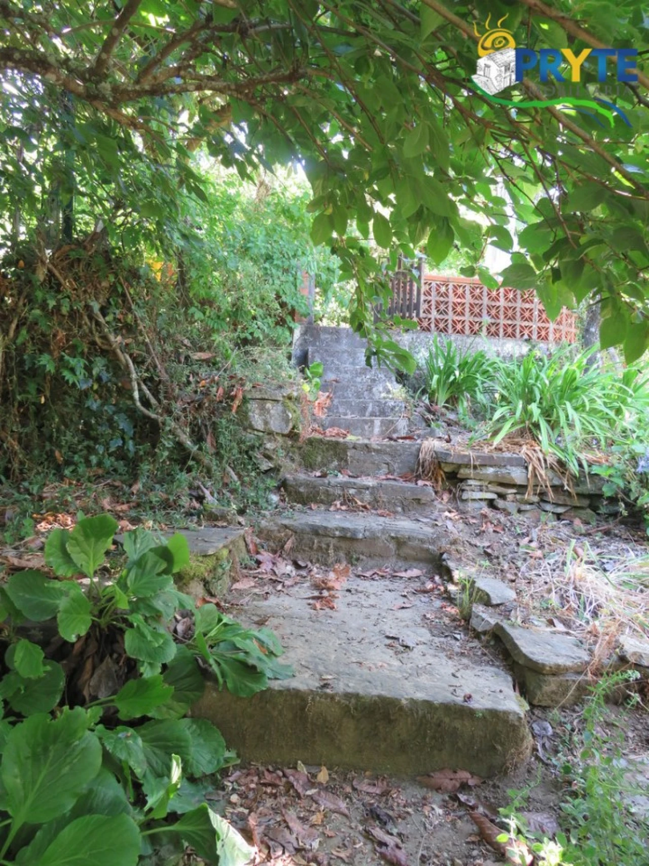 Moradia T2 para Venda em Castanheira de Pêra e Coentral Foto 34