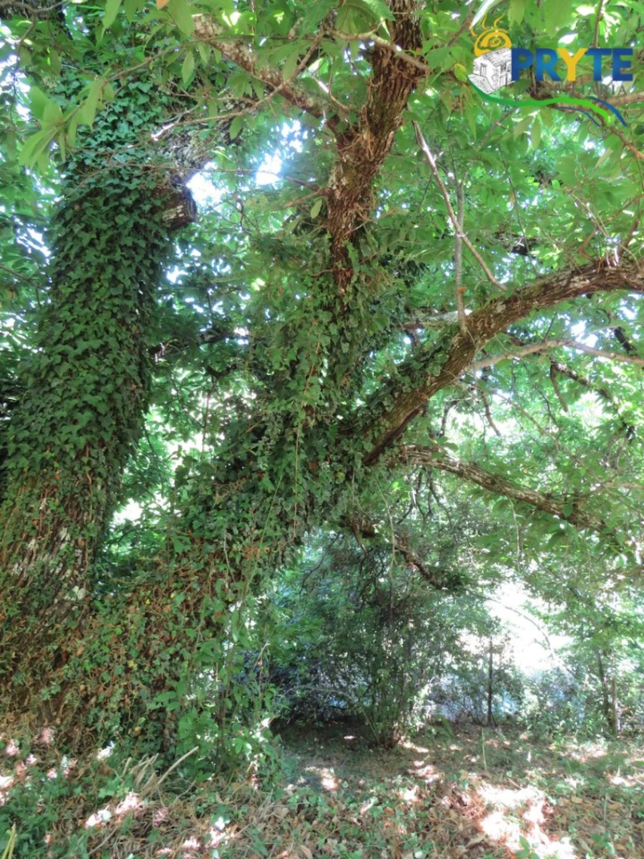 Moradia T2 para Venda em Castanheira de Pêra e Coentral Foto 38