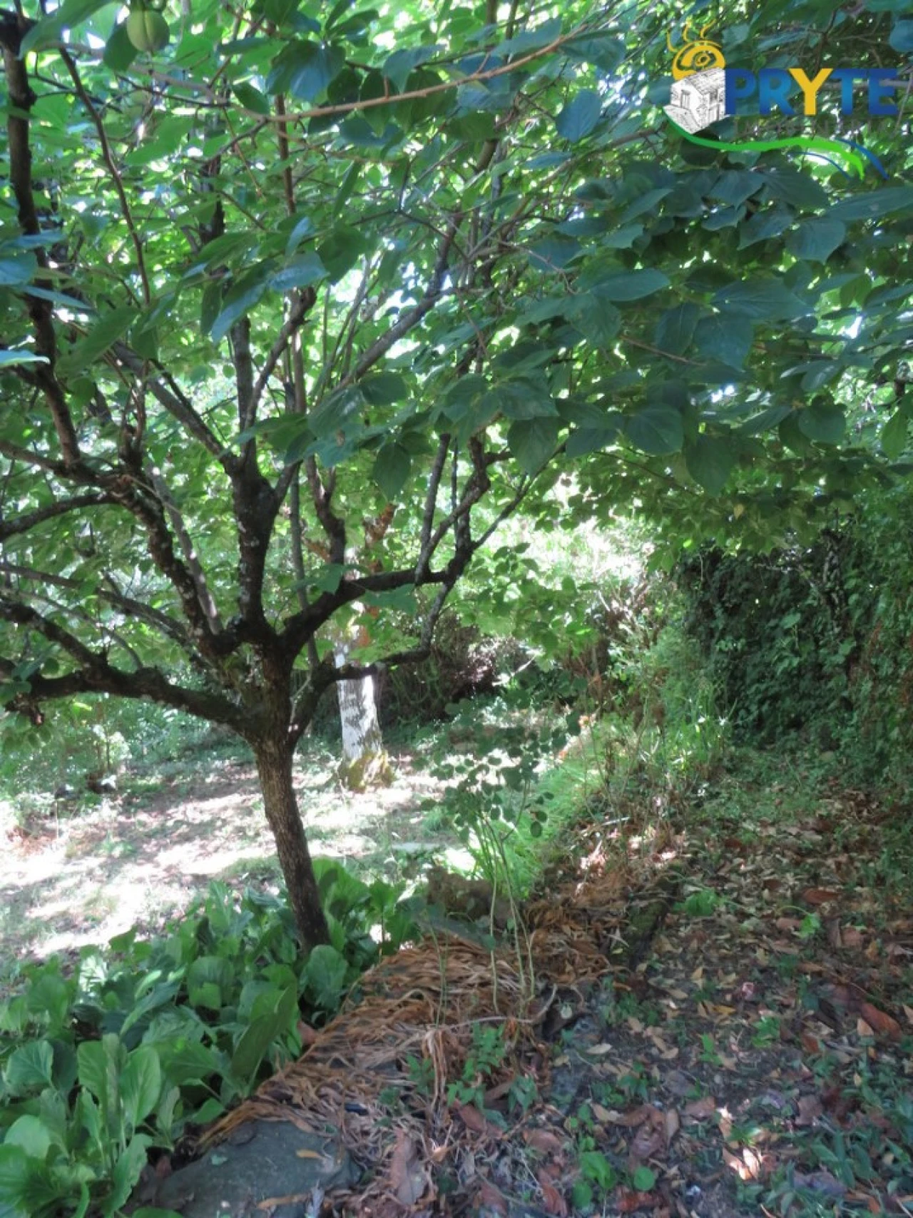 Moradia T2 para Venda em Castanheira de Pêra e Coentral Foto 47