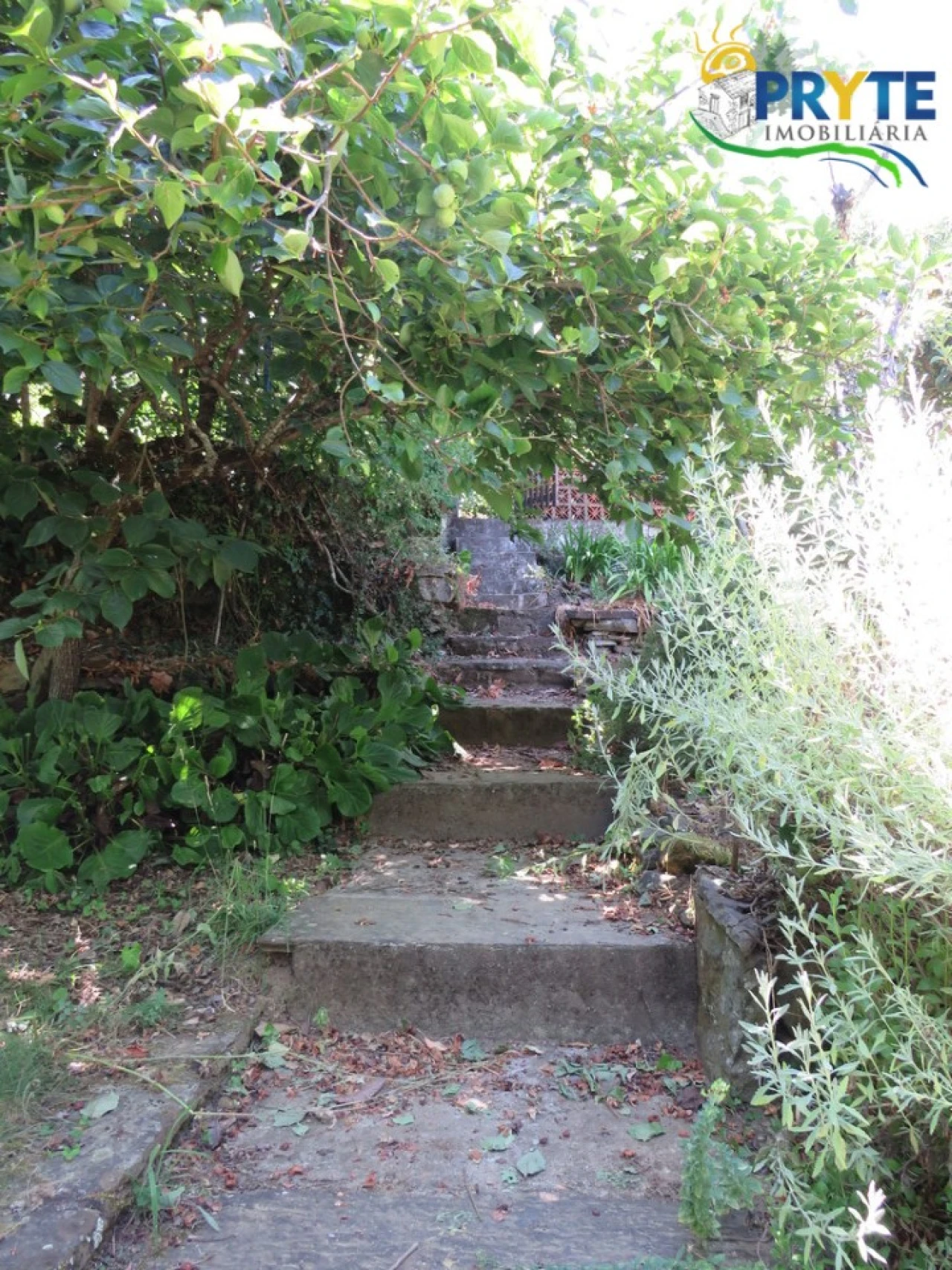 Moradia T2 para Venda em Castanheira de Pêra e Coentral Foto 48