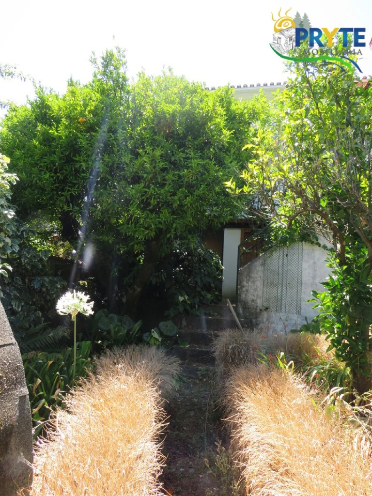 Moradia T2 para Venda em Castanheira de Pêra e Coentral Foto 49