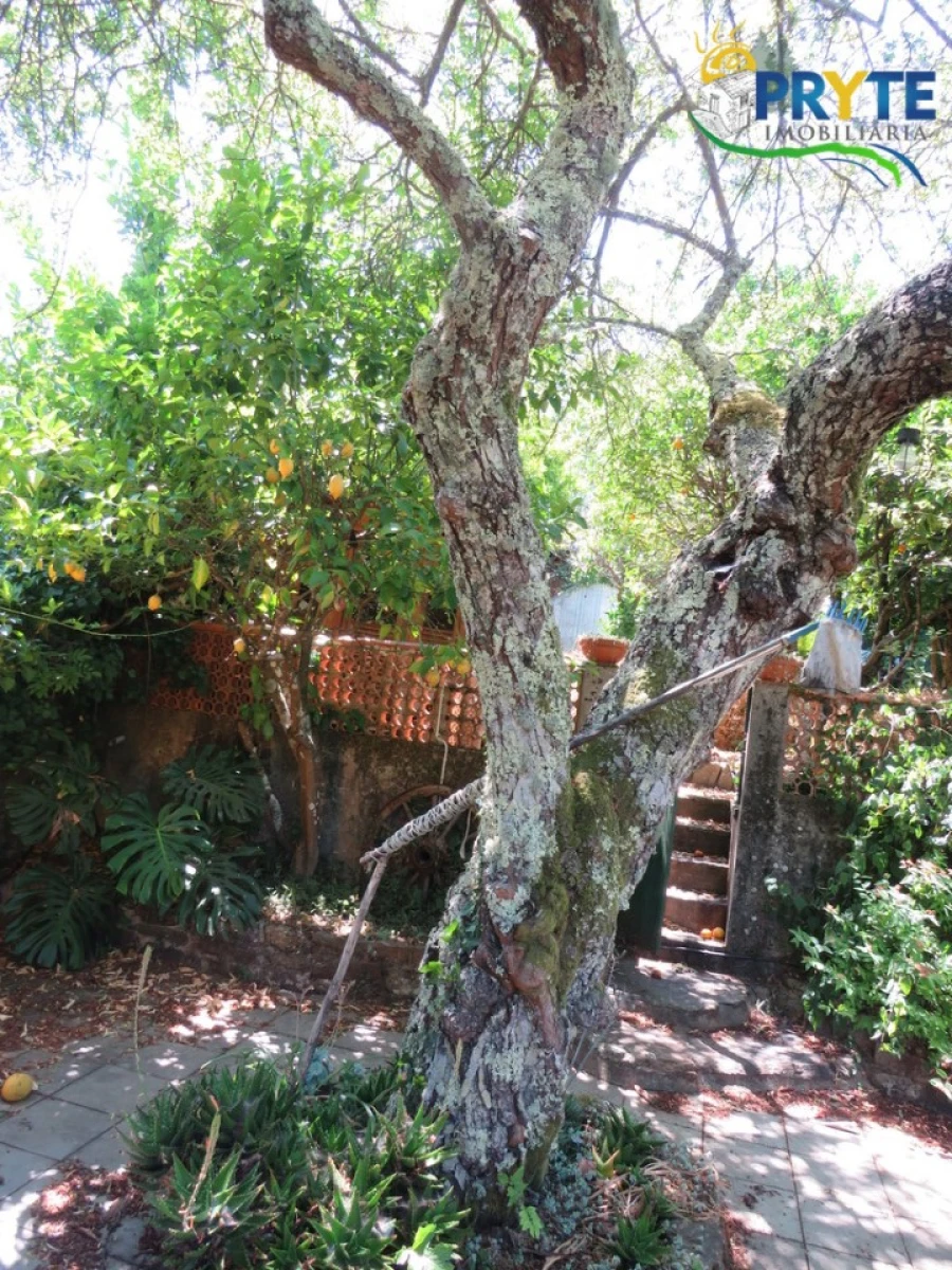 Moradia T2 para Venda em Castanheira de Pêra e Coentral Foto 30