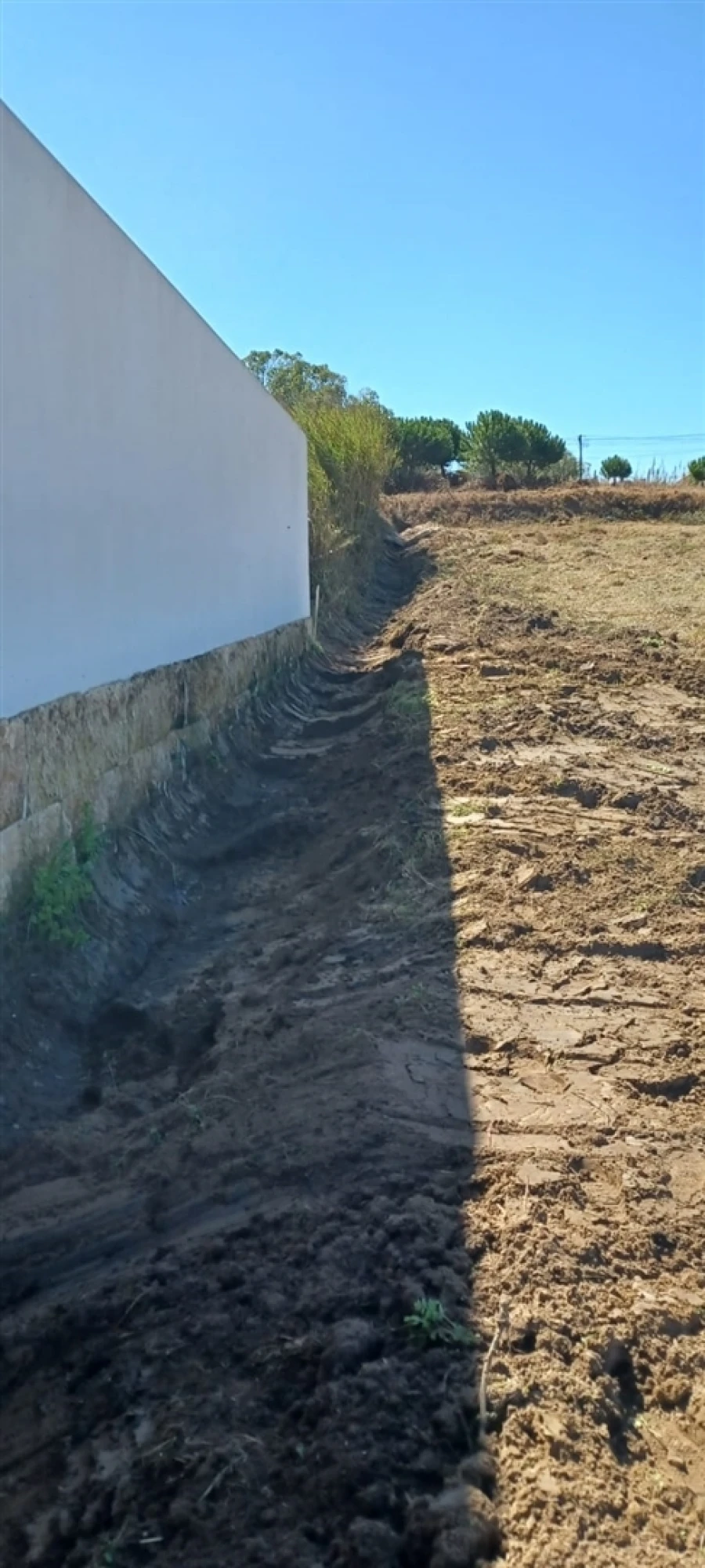 Quinta T3 para Venda em Caldas da Rainha - Santo Onofre e Serra do Bouro Foto 14