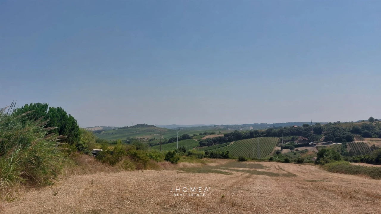 Terreno para Venda em Ribafria e Pereiro de Palhacana Foto 6