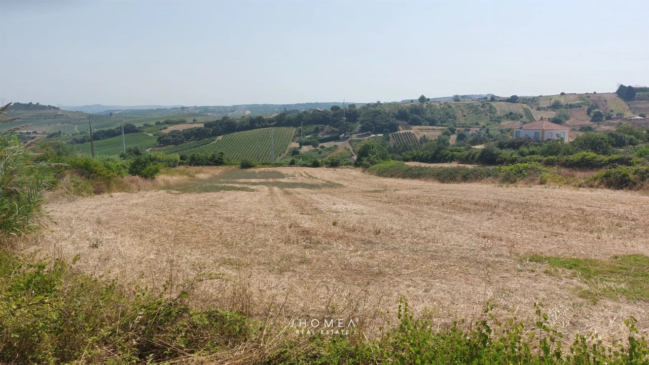 Terreno para Venda em Ribafria e Pereiro de Palhacana Foto 1