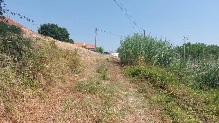 Terreno para Venda em Ribafria e Pereiro de Palhacana Foto 5