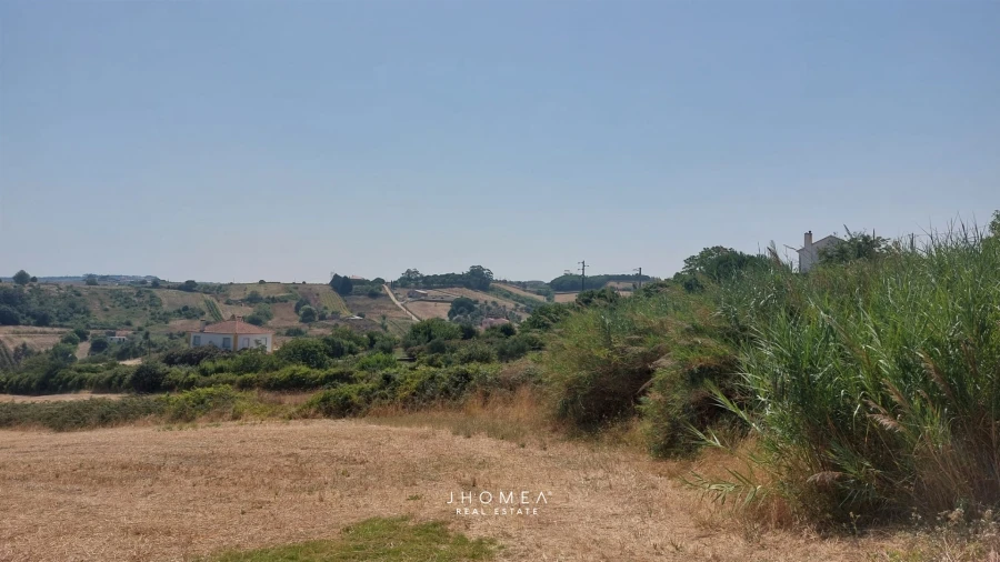 Terreno para Venda em Ribafria e Pereiro de Palhacana Foto 7