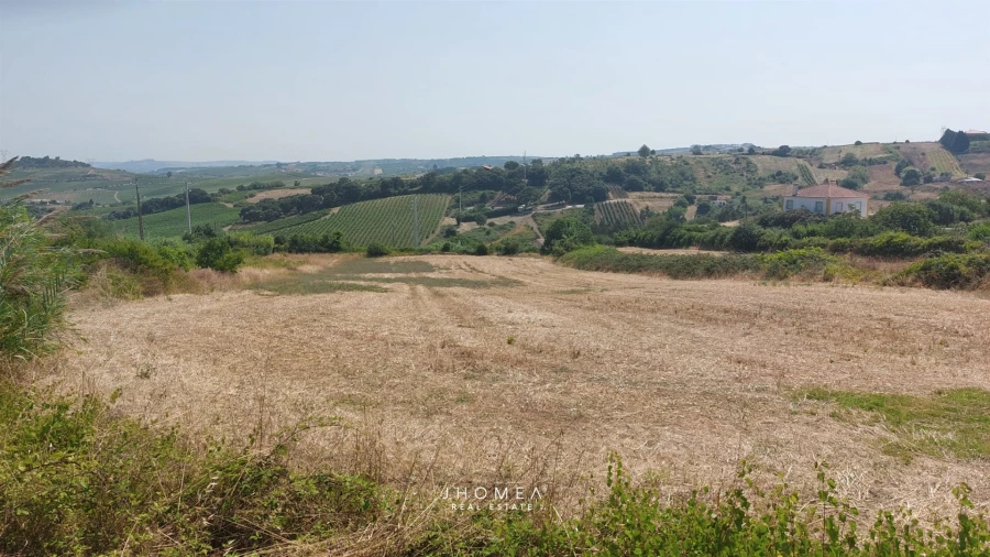 Terreno para Venda em Ribafria e Pereiro de Palhacana Foto 8