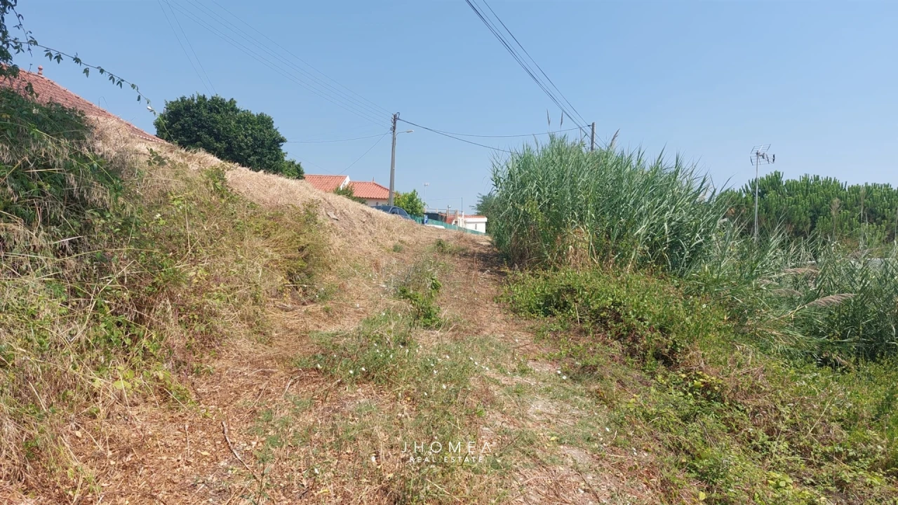 Terreno para Venda em Ribafria e Pereiro de Palhacana Foto 5