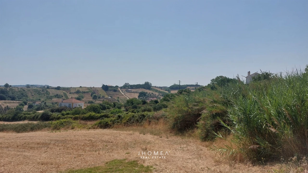 Terreno para Venda em Ribafria e Pereiro de Palhacana Foto 7