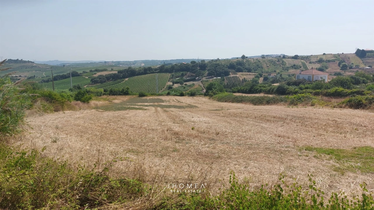 Terreno para Venda em Ribafria e Pereiro de Palhacana Foto 8